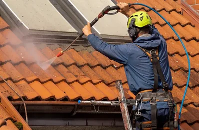 Démoussage et hydrofuge de toiture à Cortambert